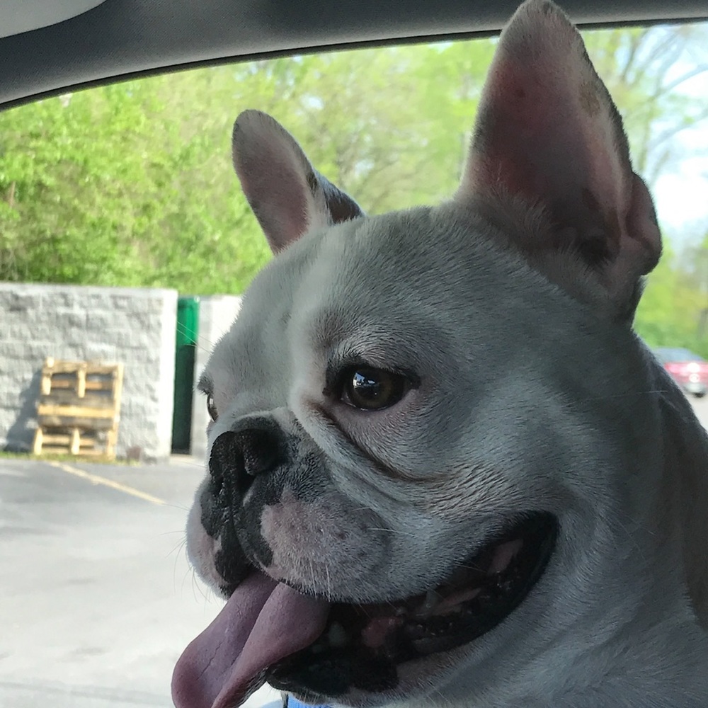 Meet your Posher, Renee